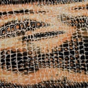 Black & Brown Skin Print On Silk Satin Burnout