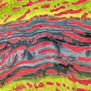 Border Print On Silk Satin Burnout