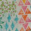 Embroidered Schiffli Print Fabric ESP 13