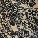 Black Paisley Poly Viscose Velvet Brasso