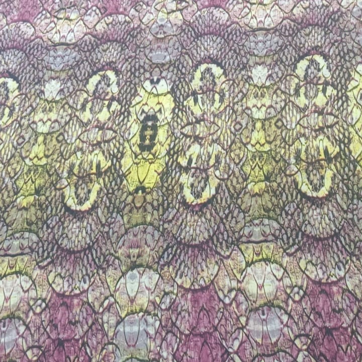 Peacock Prints On Royal Georgette (SS24) RGPS35