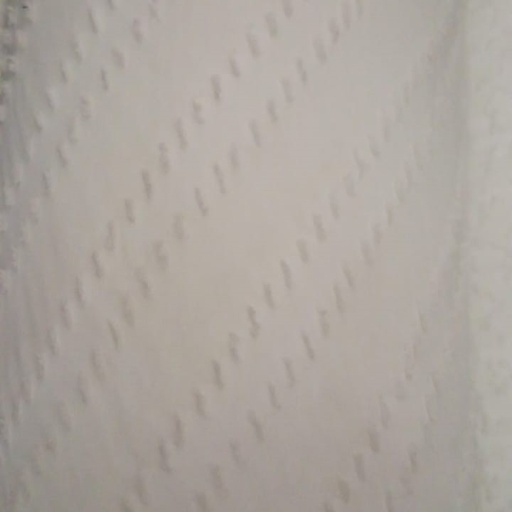 Clip Jacquard Dyed Fabric(Stripes - White)
