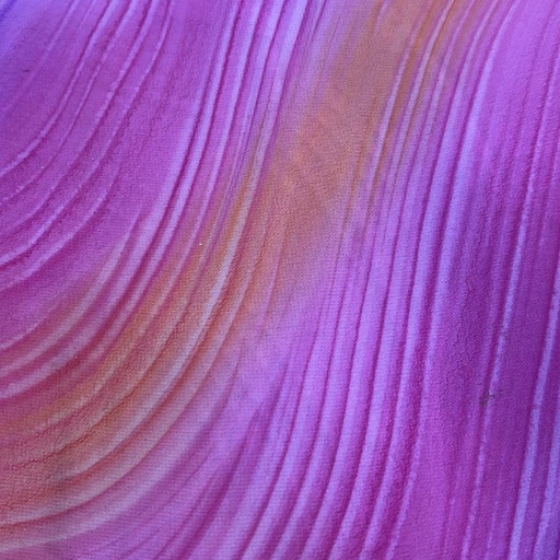 Print On Poly Georgette 44 Inch PGPS152