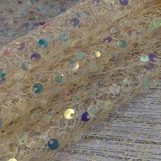 Elsa Sequins AGT0504