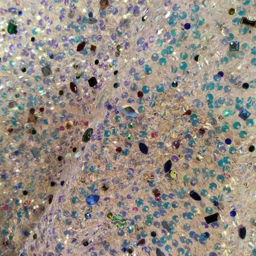 Sequins Rhinestone AGT0426